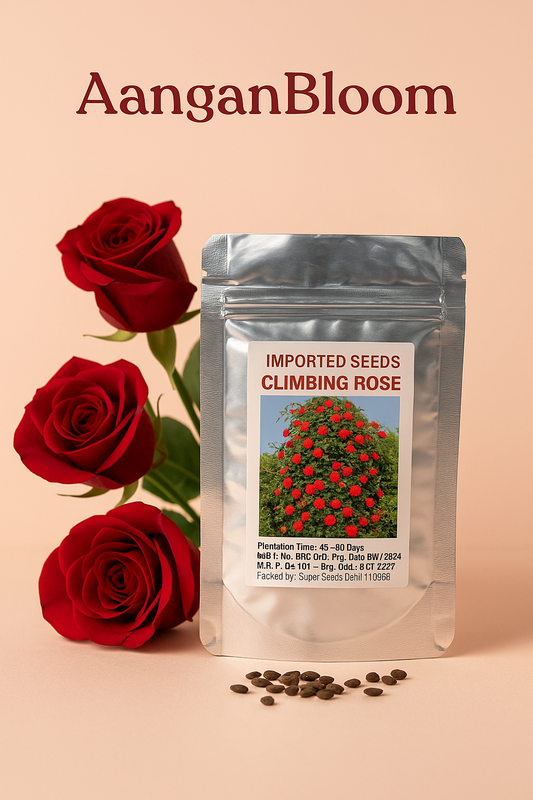 AanganBloom™ - Climbing Rose Seeds
