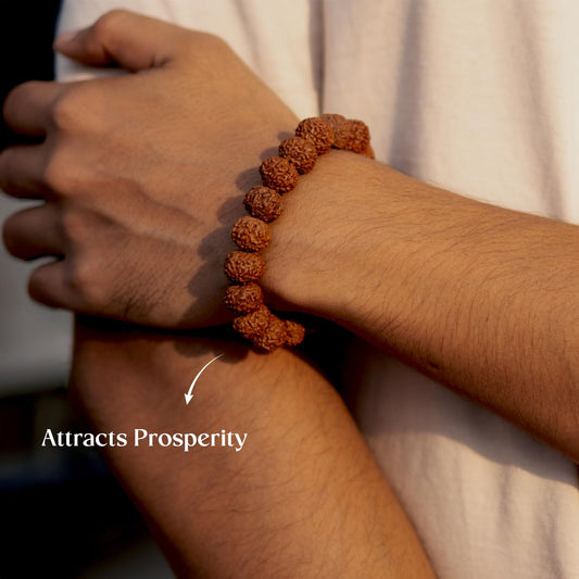 7 Mukhi Rudraksha Bracelet
